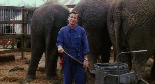 Big Fish